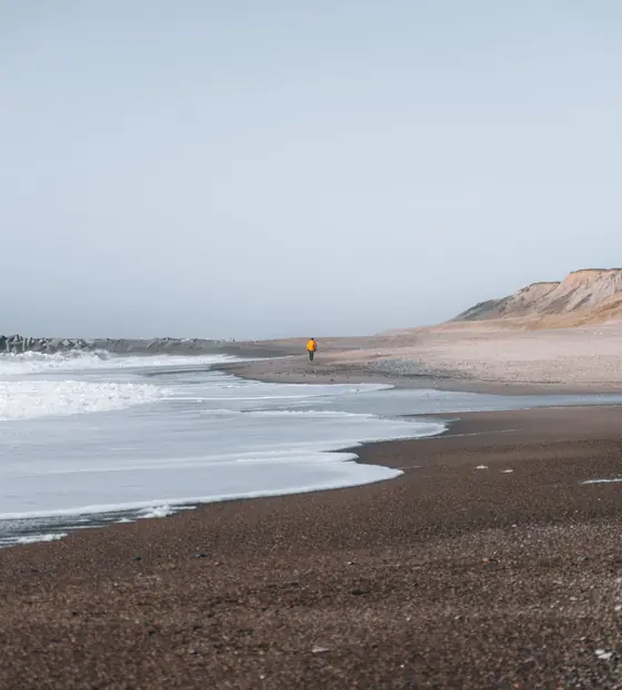 Strand og klitter i diset morgenlys